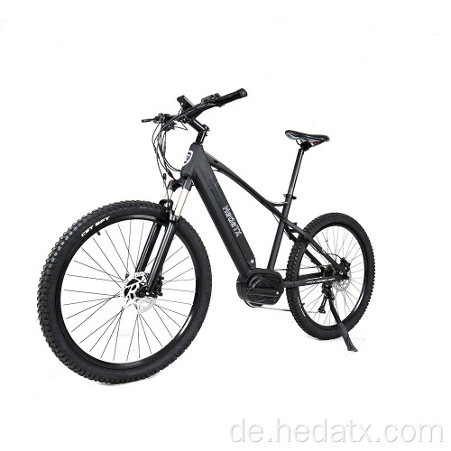 Schnelles elektrisches Mountainbike